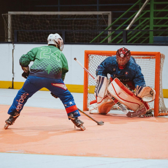 imagen Torneo Nacional Vendimia de Hockey en Línea