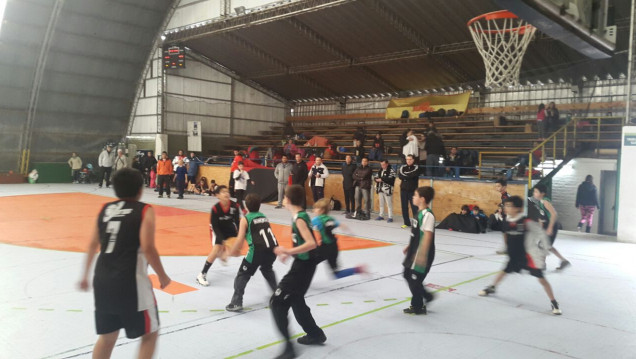 imagen Más de 800 chicos en el torneo de minibasquet en la UNCuyo
